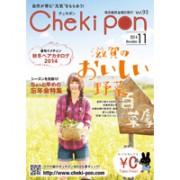 Chekipon南版V93H1cc.indd