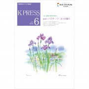 KP1706web