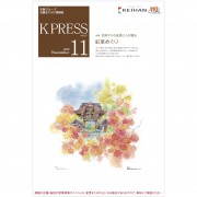 KP2011web